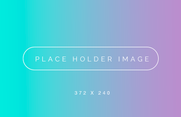 Testing by tech team